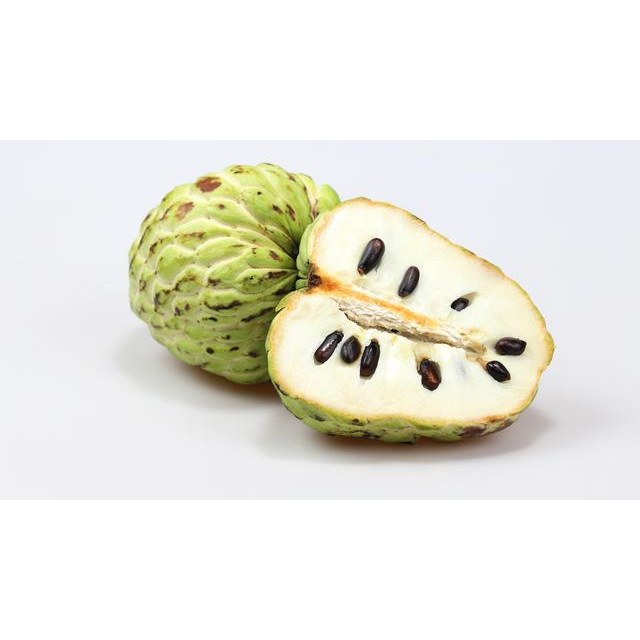 IMG-PRODUCT